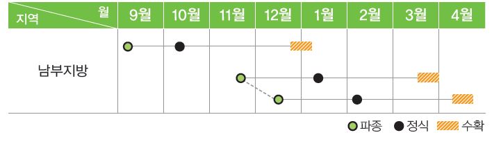 글라시카 재배작형표