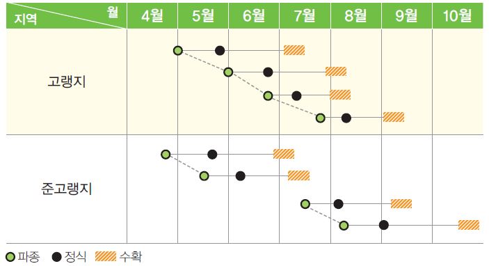 썬라인 재배작형표