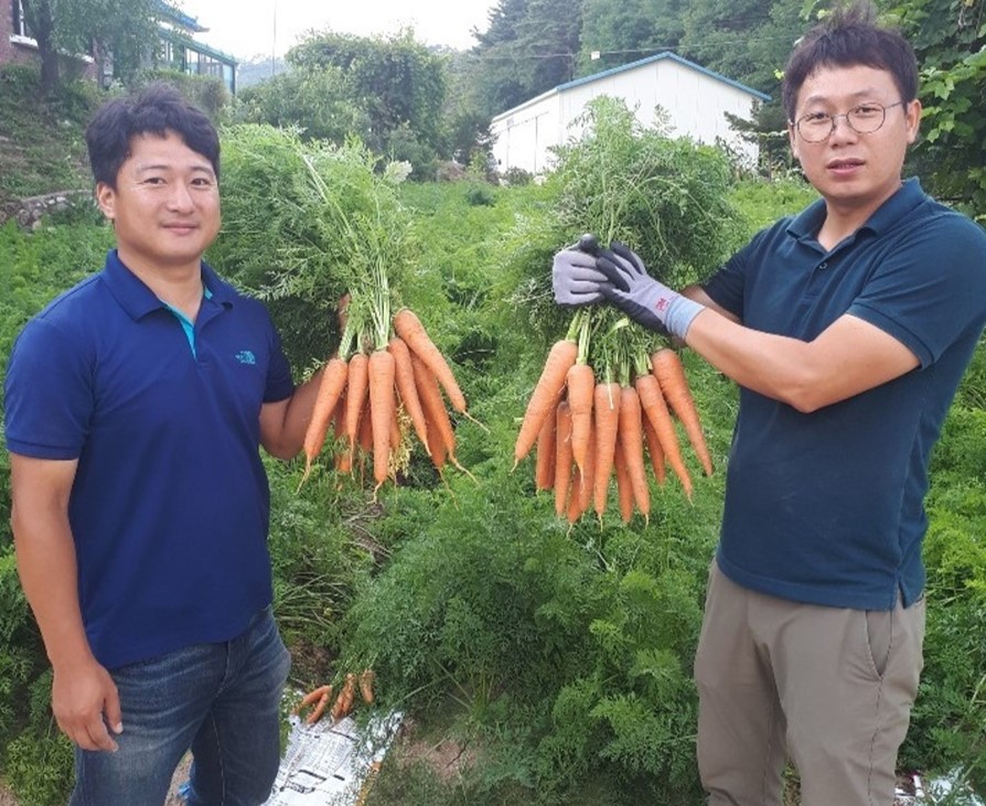 carrot with 2guys